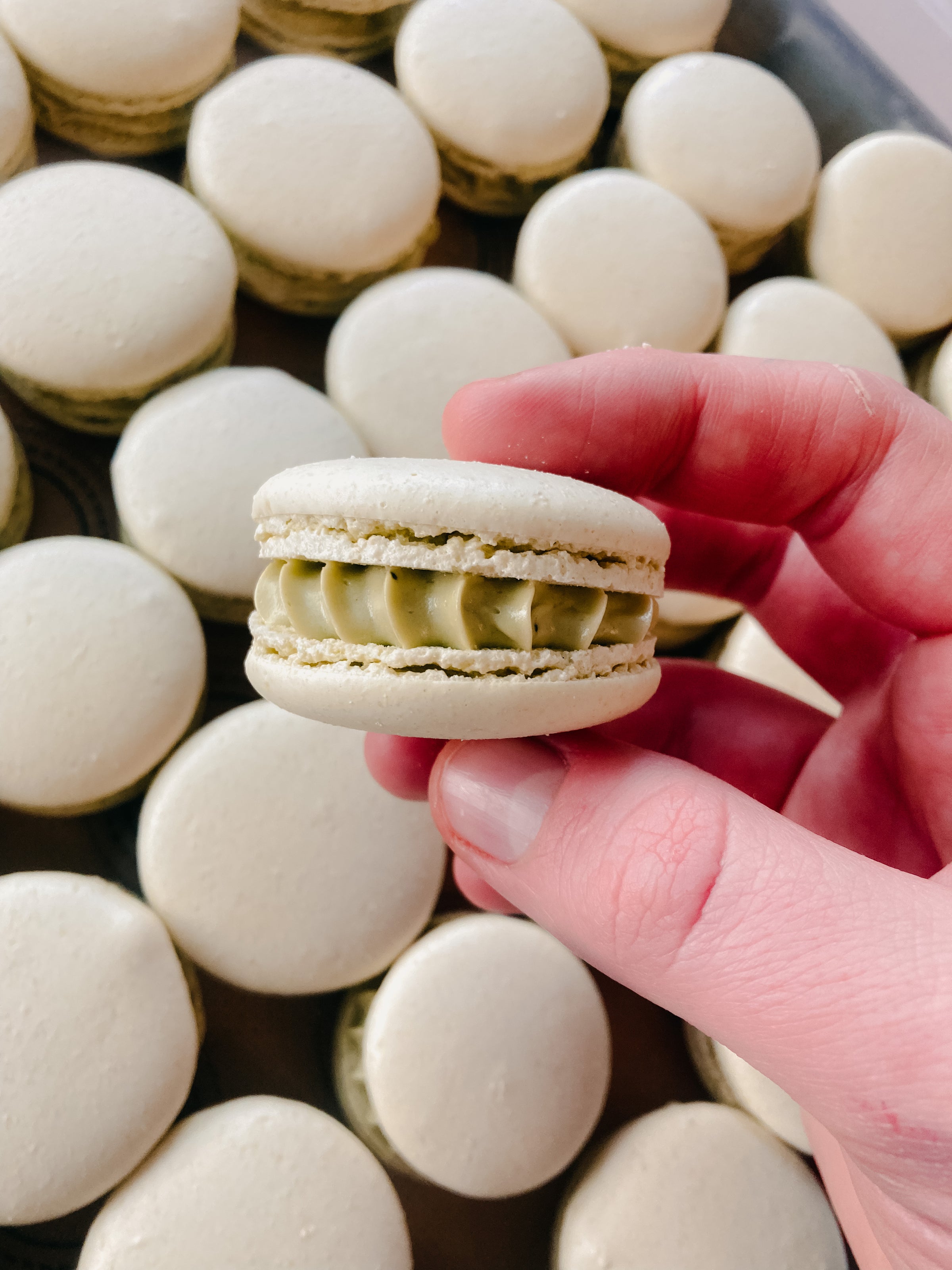 macaron⭐︎ Macaron, single | Keepin' it Vegan